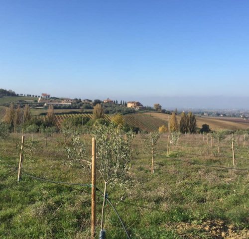 125185056_802950563583309_289617089225362622_n