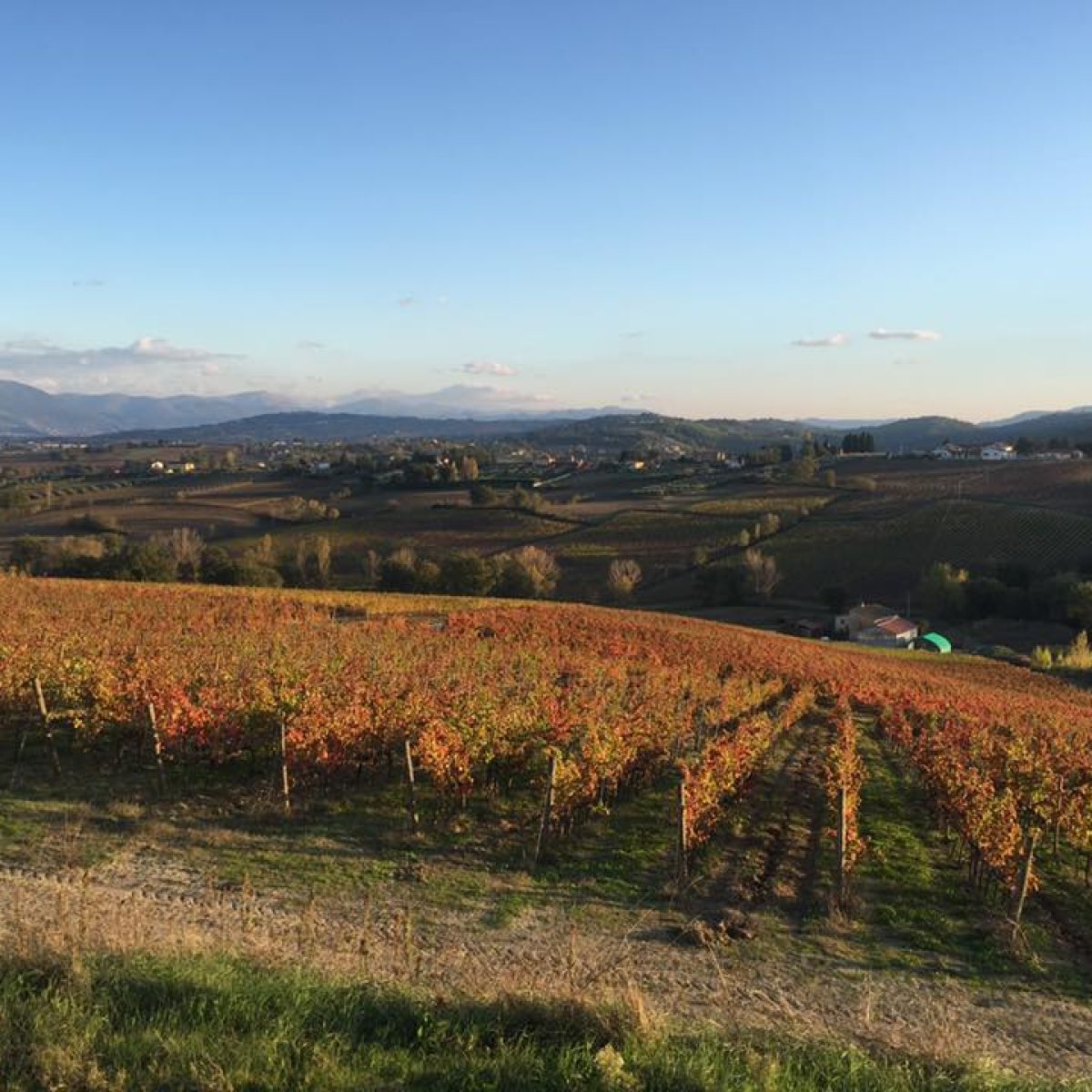 46476206_360819911129712_7838818470618726400_n